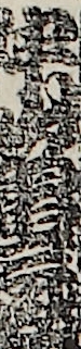 中山亀三郎