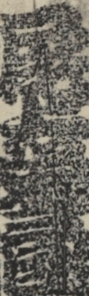尾上栄三郎