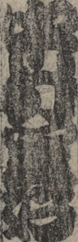 中村里好