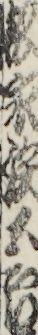 松永鉄五郎