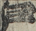 江戸