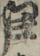 江戸
