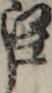 江戸