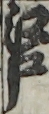 江戸