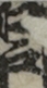 江戸