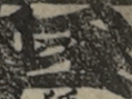 江戸