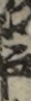 江戸