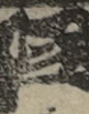 江戸