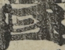 江戸