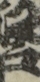 江戸