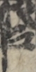 江戸