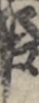 江戸