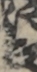 江戸