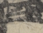 江戸