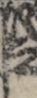 江戸