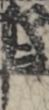 江戸