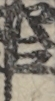 江戸