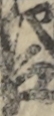 江戸