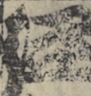 江戸