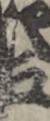 江戸