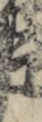 江戸
