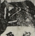 江戸