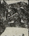 江戸