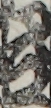 江戸