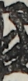 江戸