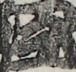 江戸