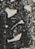 江戸