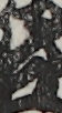 江戸