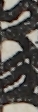 江戸
