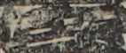 江戸