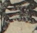 江戸