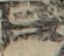 江戸
