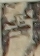 江戸