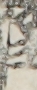 江戸