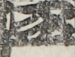 江戸