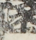 江戸