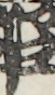 江戸