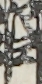 江戸