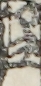 江戸