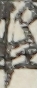 江戸