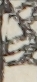 江戸
