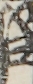 江戸