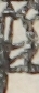 江戸