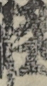 江戸