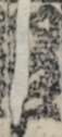 江戸