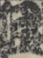 江戸